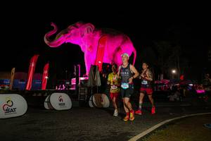 BIB: 
                            <button type="button" onclick="openModal(26534149)" class="btn btn-primary btn-sm float-right btn-popup" data-toggle="modal" data-target=".modal-high-quality">
                        <i class="fas fa-shopping-cart"></i> Add to Cart
                    </button>
                                            <button type="button" onclick="isThisMe(26534149, true)" class="btn btn-success btn-sm float-right btn-popup btn-isme hidden" data-toggle="tooltip" data-placement="bottom" title="นี่คือรูปของคุณใช่ไหม คลิกที่นี่เพื่อเอาเข้าอัลบั้ม">
                        <i class="fas fa-plus"></i> Add to album
                    </button>
                    <button type="button" onclick="isThisMe(26534149, false)" class="btn btn-warning btn-sm float-right btn-popup btn-isnotme hidden">
                        <i class="fas fa-ban"></i> Remove from album
                    </button>